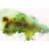 Photo Non-Woven Wallpaper Watercolour brown green 2