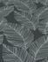Non-woven wallpaper palm leaves anthracite white 10125-10 3