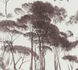Non-woven wallpaper trees white brown 37651-1 1