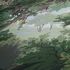 Non-woven wallpaper forest painting green brown rose blue 3