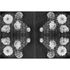 Photo Wallpaper Floral grey black AS Creation DD109040 2