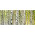 Photo Wallpaper Birches brown green DD109165 2