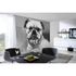 Photo Wallpaper Dog grey black AS Creation DD108930 2