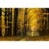 Photo Wallpaper Enchanted Forest brown yellow DD109250 1