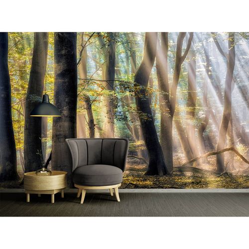 Photo Wallpaper Mystic Forest brown AS Creation DD109320