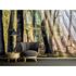 Photo Wallpaper Mystic Forest brown AS Creation DD109320 1