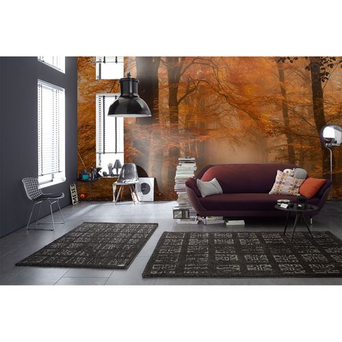 Photo Wallpaper Forest Paradise brown cream DD109255
