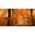Photo Wallpaper Forest Paradise brown cream DD109255 2
