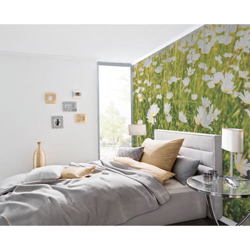 Photo Wallpaper Daisies yellow green DD108980
