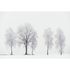 Photo Wallpaper Winter brown white AS Creation DD109260 2