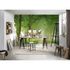 Photo Wallpaper Forest Path Mist brown green DD109265 2