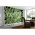 Photo Wallpaper Palm green AS Creation DD109150 1