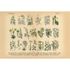 Photo Wallpaper Medicinal Plants beige DD109065 2