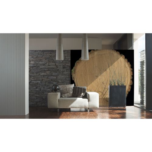 Photo Wallpaper Tree Disc beige brown DD108675