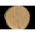 Photo Wallpaper Tree Disc beige brown DD108675 2