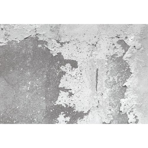 Photo Wallpaper Plaster Wall grey white DD108760