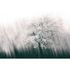 Photo Wallpaper Tree grey black AS Creation DD109305 1