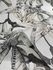 Non-Woven Wallpaper Jungle Monkeys grey beige 32651 3