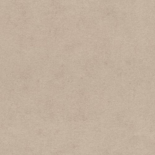Non-Woven Wallpaper Rasch Plain Mottled taupe 408164