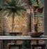 Digital Print Photo Wallpaper Orient Palm brown DD118827 3