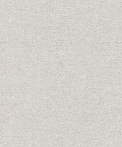 non-woven wallpaper Rasch Andy Wand plain textured 650556