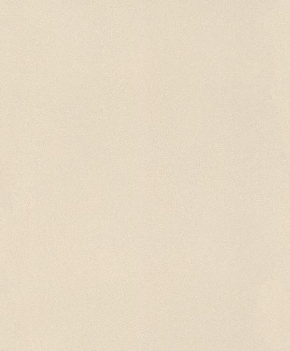 Non-Woven Wallpaper Rasch Fur Plain beige 418644