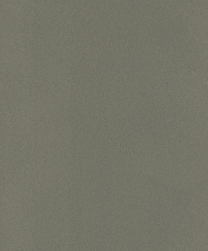 Non-Woven Wallpaper Rasch Fur Plain black-green 418668