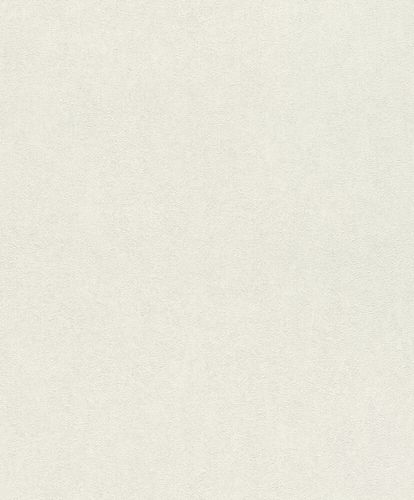 Non-Woven Wallpaper Rasch Plain Plaster white 617115
