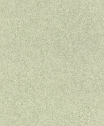 Non-Woven Wallpaper Rasch Plain Plaster green 617368