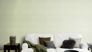 Non-Woven Wallpaper Rasch Plain Plaster green 617368 4