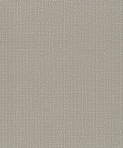 Non-Woven Wallpaper Bast Look Metallic beige 32810