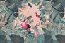 Photo Wallpaper Non-Woven Birds Leaves green pink beige 1
