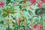 Photo Wallpaper Non-Woven Jungle Birds colourful green 2