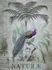 Photo Wallpaper Non-Woven Jungle Peacock grey-green 2