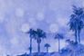 Photo Wallpaper Non-Woven Palms Orient blue 2