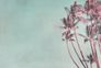 Photo Wallpaper Non-Woven Palms Tropical pink blue 2