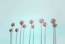 Photo Wallpaper Non-Woven Palms Tropical blue pink 2