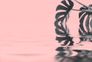 Photo Wallpaper Non-Woven Monstera Leave Water pink 2