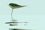 Photo Wallpaper Non-Woven Zen Water-Leave blue green 2