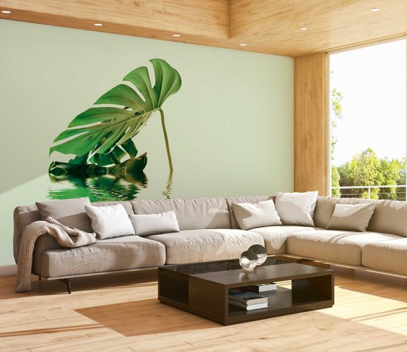 Photo Wallpaper Non-Woven Monstera Leave Water green