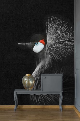 Photo Wallpaper Non-Woven Crowned Crane Bird black