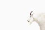 Photo Wallpaper Non-Woven Mountain Goat Nature white 2