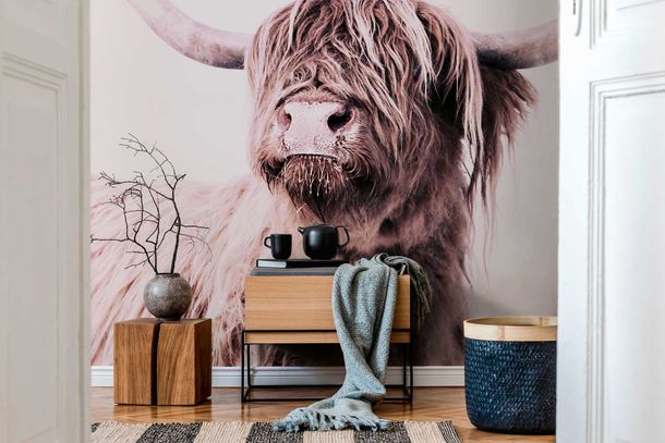Photo Wallpaper Highland Beef Nature brown