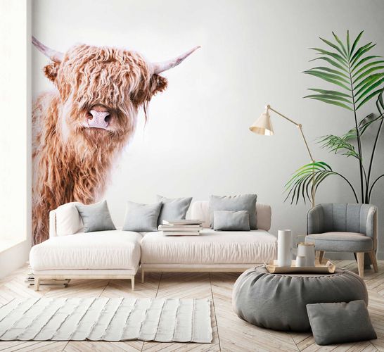 Photo Wallpaper Non-Woven Highland Beef Nature beige