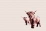 Photo Wallpaper Non-Woven Highland Beef Nature brown 2