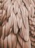 Photo Wallpaper Non-Woven Feathers Nature brown beige 2