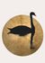 Photo Wallpaper Non-Woven Swan Lake Moon gold black 2