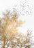 Photo Wallpaper Non-Woven Tree Birds Nature gold white 2