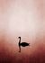 Photo Wallpaper Non-Woven Swan Lake Nature pink black 2