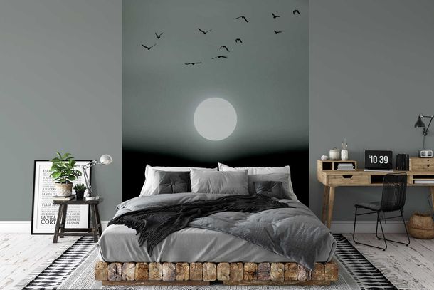 Photo Wallpaper Non-Woven Moon Birds Winter grey white